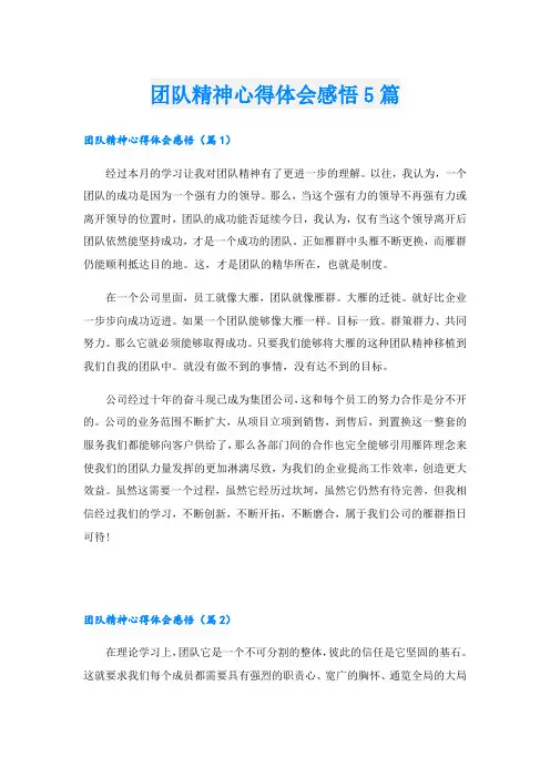 团队精神心得体会感悟5篇
