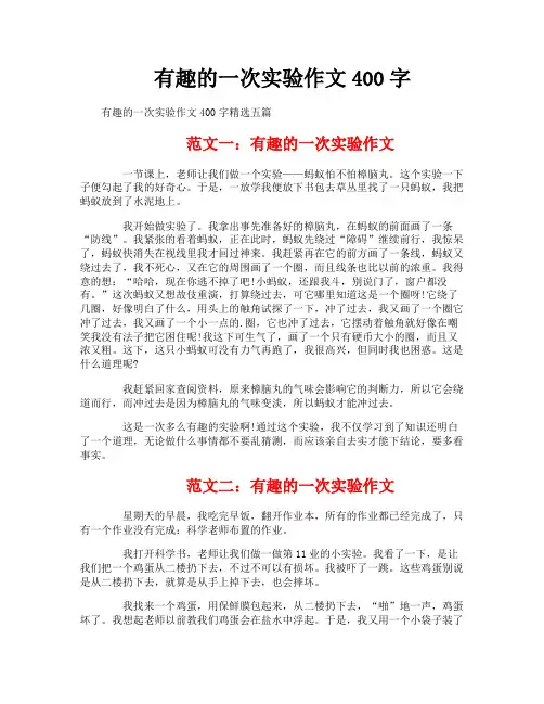 有趣的一次实验作文400字