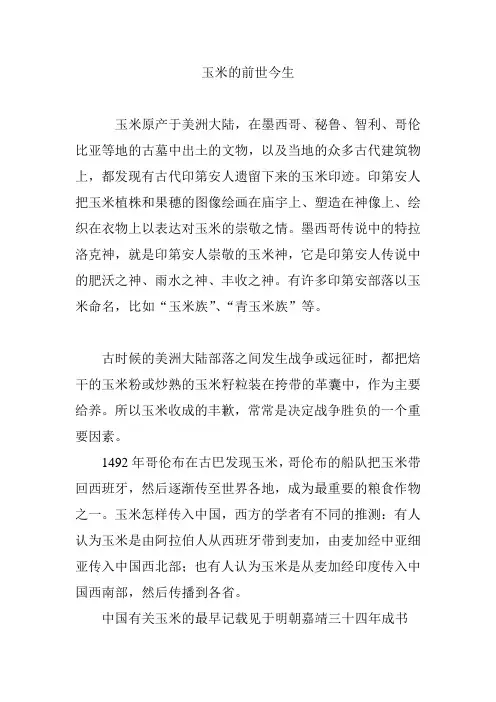 玉米的前世今生