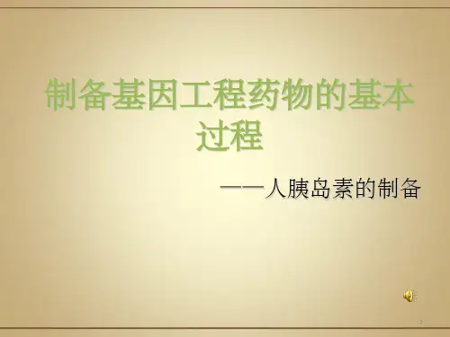 人胰岛素的制备生物技术制药