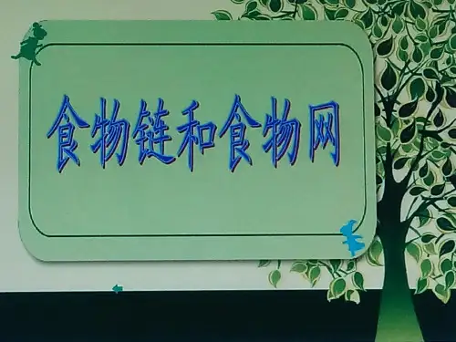 《食物链和食物网》ppt教学课件教科版小学2