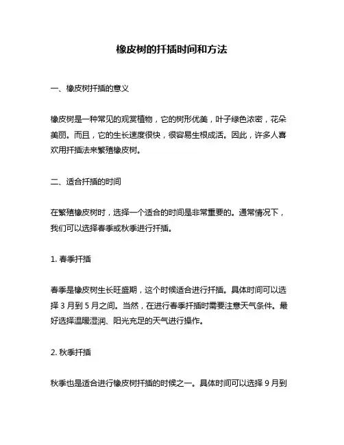 橡皮树的扦插时间和方法