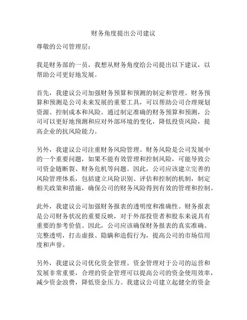 财务角度提出公司建议