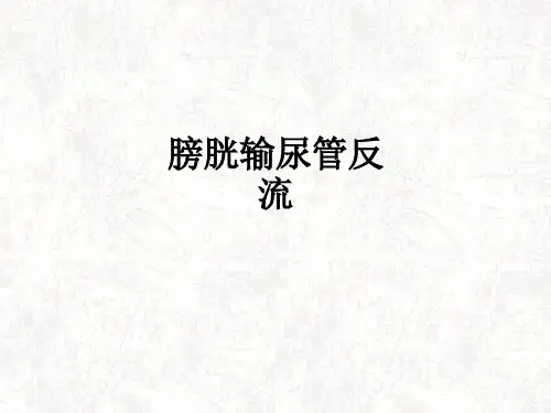 膀胱输尿管反流ppt课件