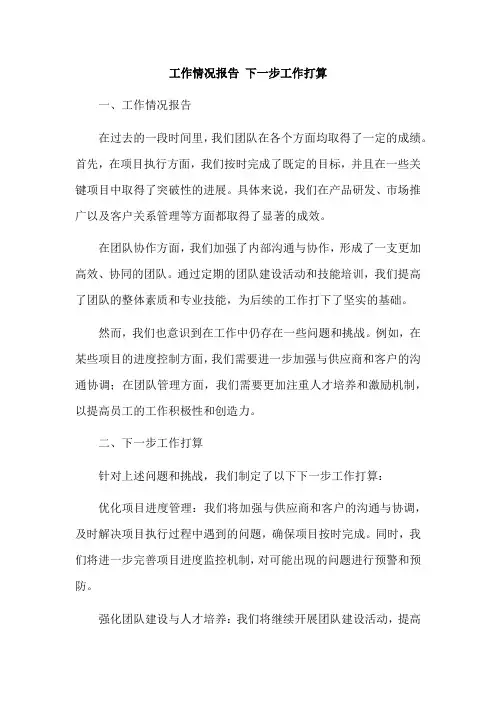 工作情况报告 下一步工作打算