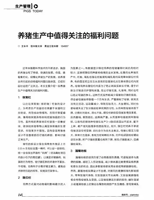 养猪生产中值得关注的福利问题