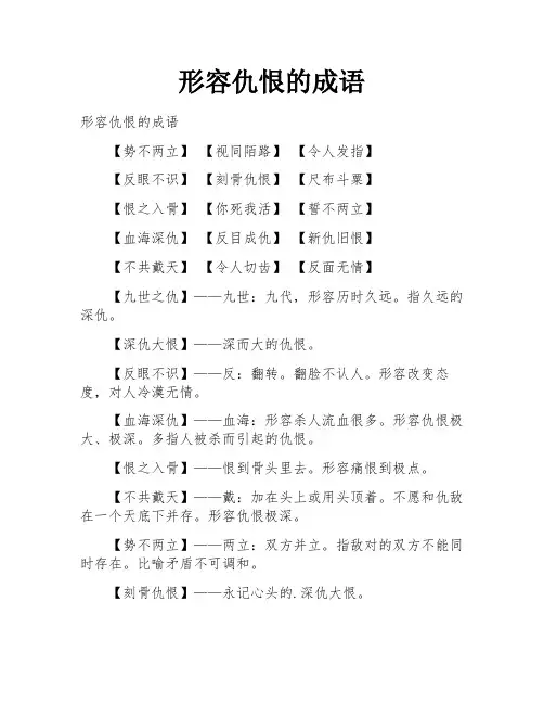 形容仇恨的成语