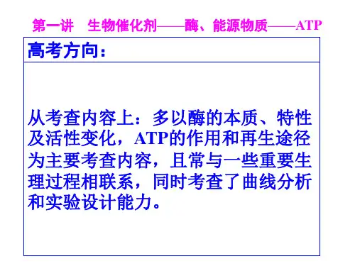 酶和ATP二轮复习