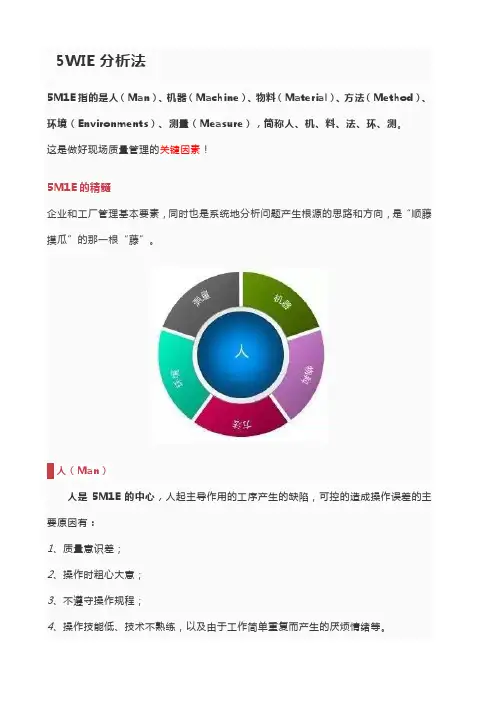5WIE分析法