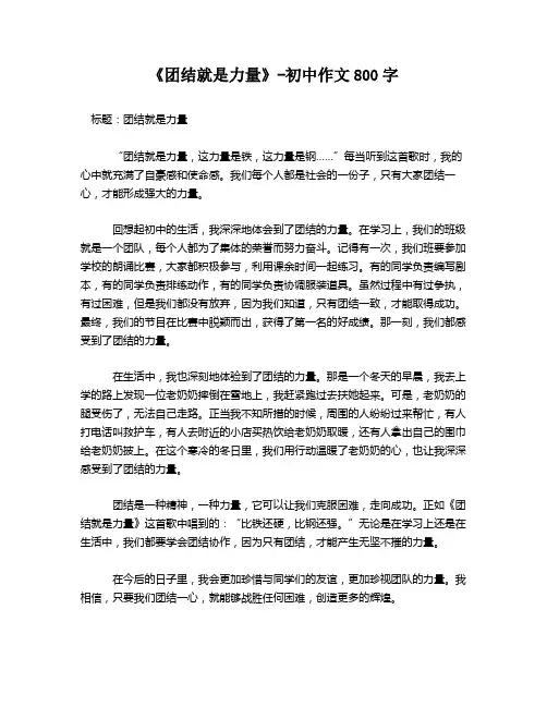 《团结就是力量》-初中作文800字