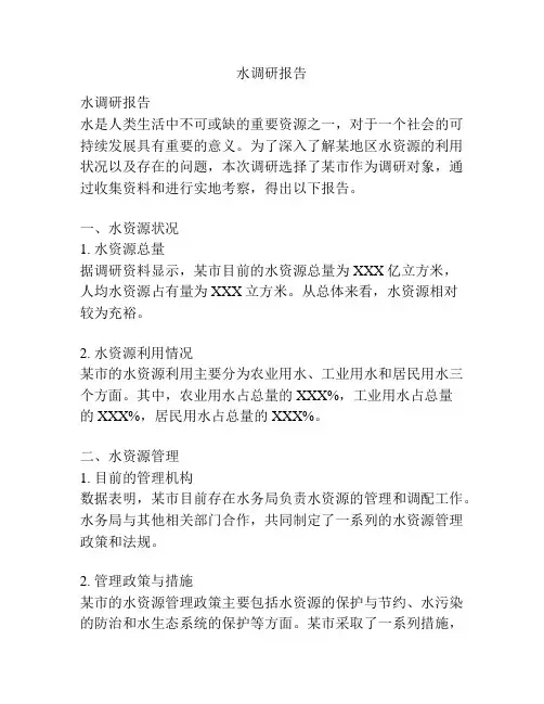 水调研报告