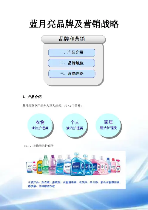 蓝月亮品牌及营销战略