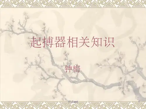《起搏器相关知识》PPT课件