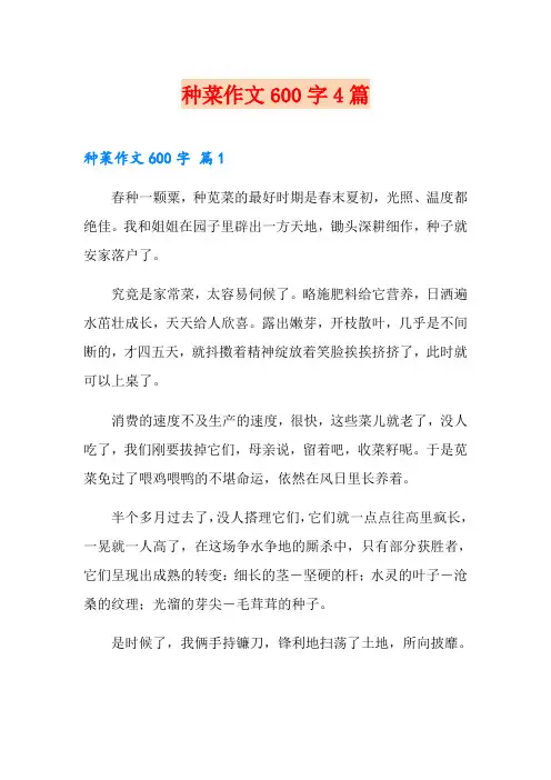 种菜作文600字4篇