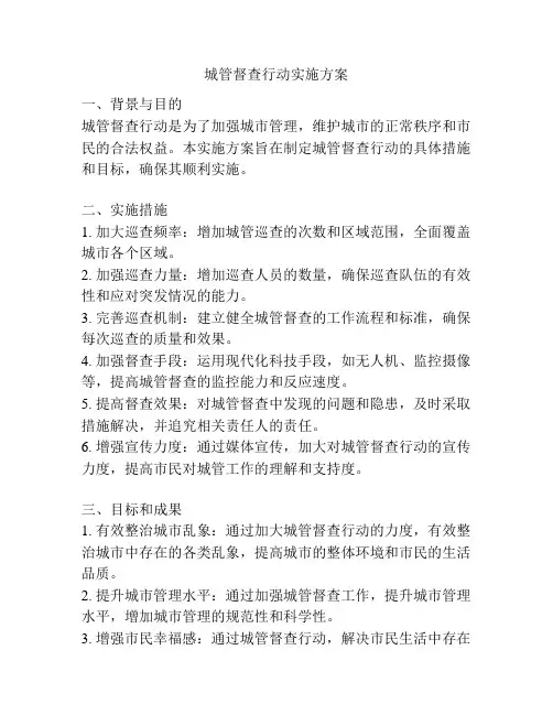 城管督查行动实施方案
