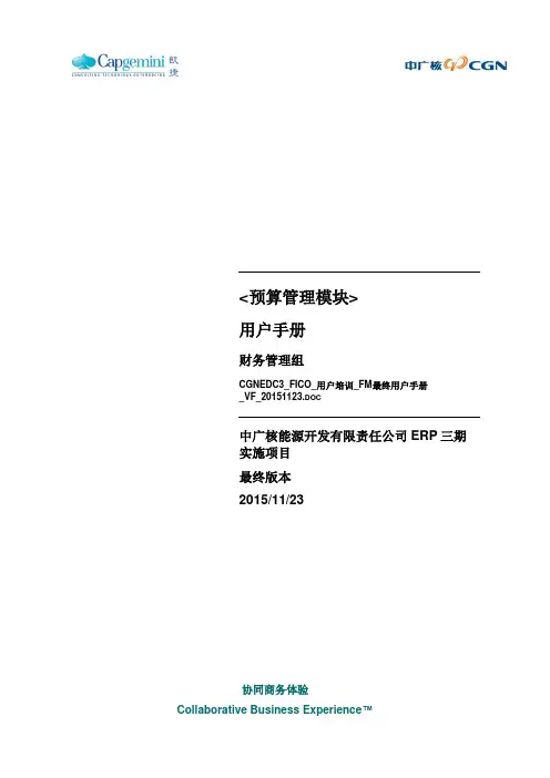 CGNEDC3_FICO_用户培训_FM最终用户手册_VF_20151123要点