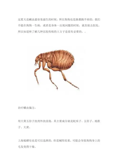 狗狗身上出现螨虫跳蚤的小妙招