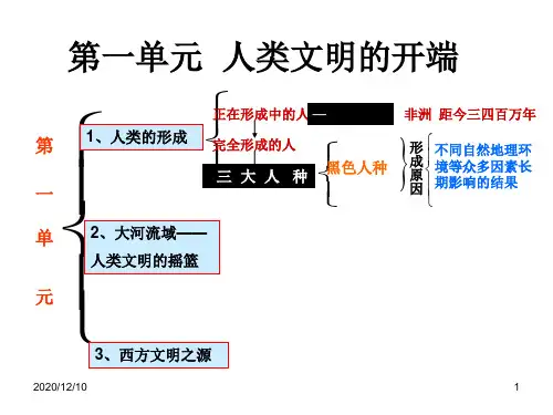 历史：第一单元 人类文明的开端复习课件(人教新课标九年级上)PPT教学课件