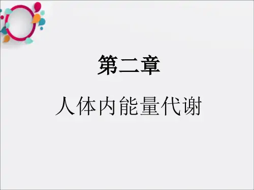 《人体内能量代谢》PPT课件
