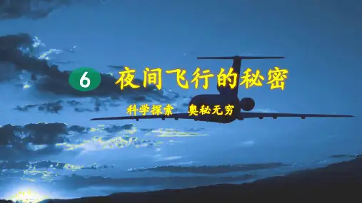 统编版小学四年级语文上册第6课《夜间飞行的秘密》精品课件