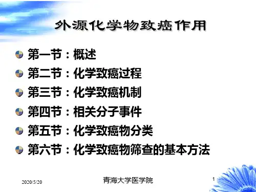 外源化学物致癌作用