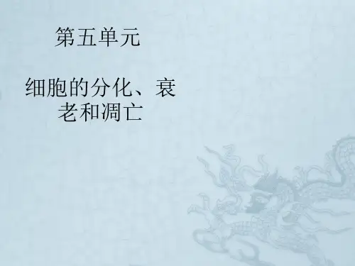 高中生物知识框架图讲解 第5单元 细胞的分化、衰老和凋亡(共17张PPT)