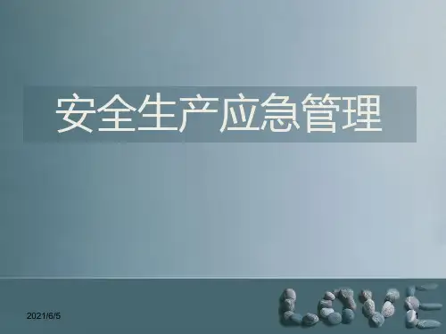 安全生产应急管理培训- PPT课件