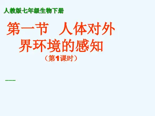生物人教版七年级下册第一节人体对外界环境的感知-眼睛精品PPT课件