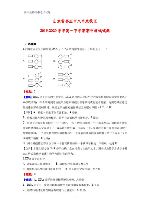 2019-2020学年山东省枣庄市八中东校区高一下学期期中考试生物试题(解析版)