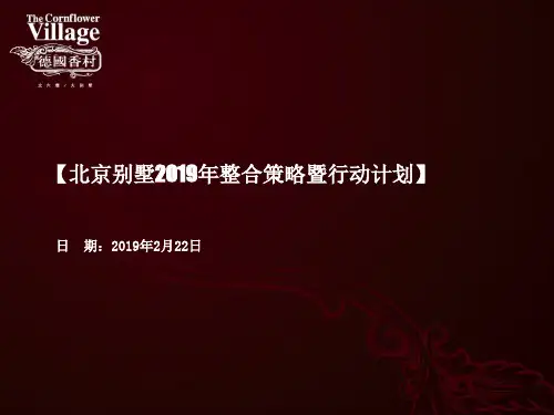 别墅2019年的策略推广的方案