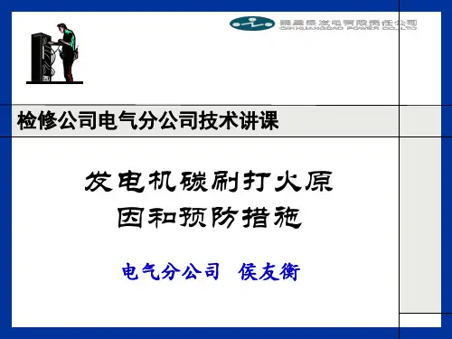 发电机碳刷打火原因和预防措施-PPT课件