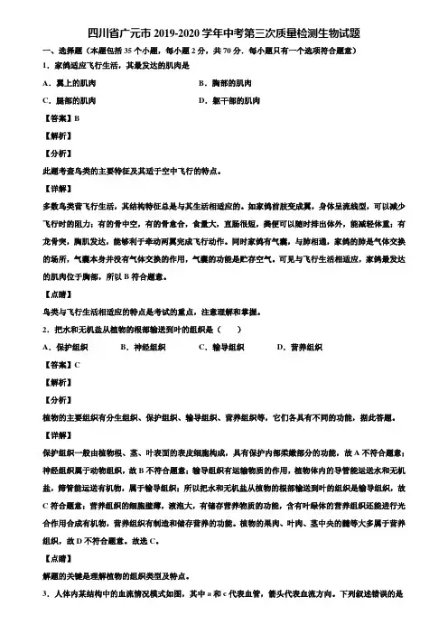 四川省广元市2019-2020学年中考第三次质量检测生物试题含解析