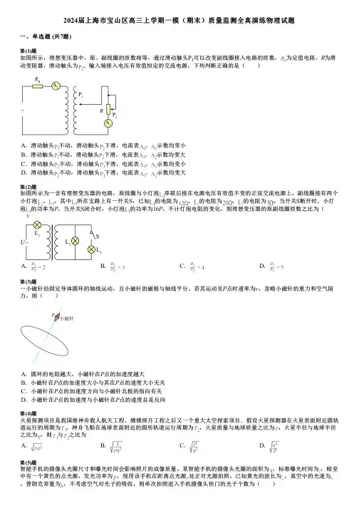 2024届上海市宝山区高三上学期一模(期末)质量监测全真演练物理试题