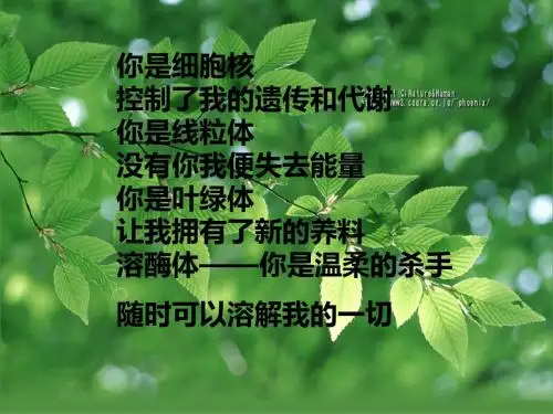 2012-11-07必修1第3章第2节(细胞器——细胞内的分工合作1)11