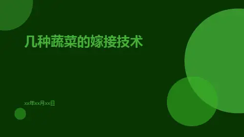 几种蔬菜的嫁接技术