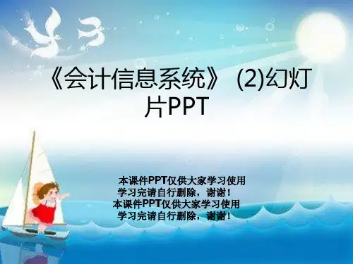 《会计信息系统》 (2)幻灯片PPT