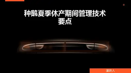 种鹅夏季休产期间管理技术要点
