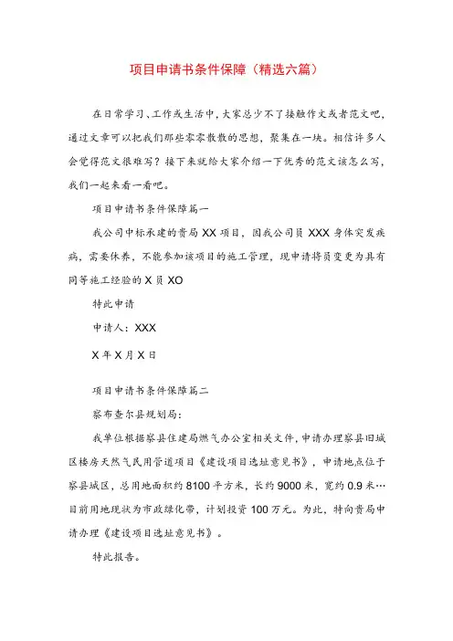 项目申请书条件保障(精选六篇)