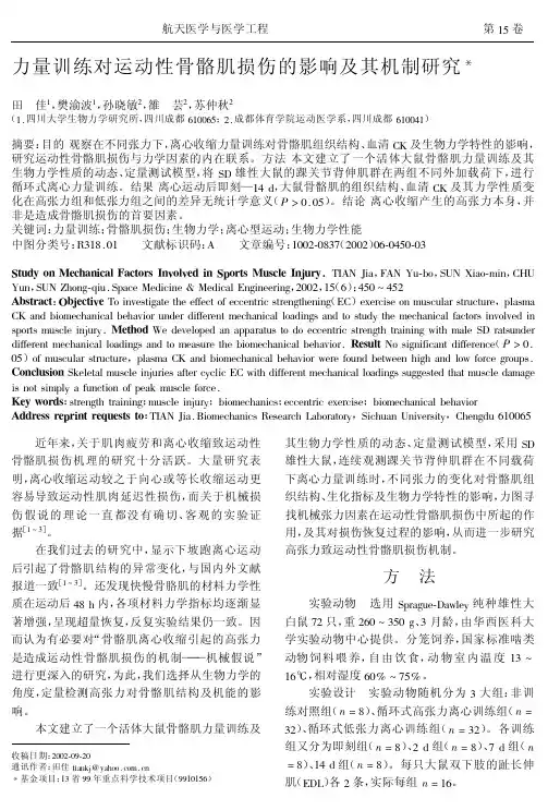 力量训练对运动性骨骼肌损伤的影响及其机制研究