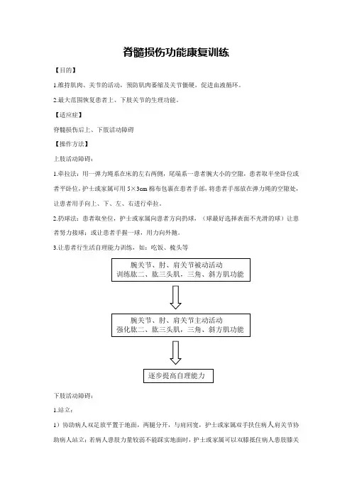 脊髓损伤康复训练