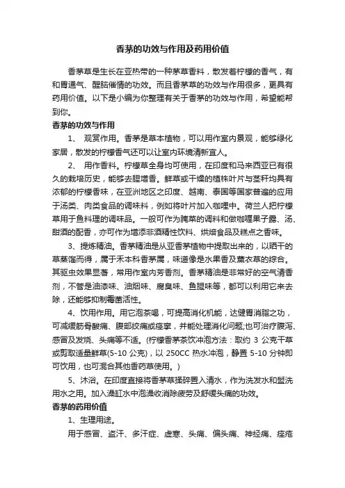 香茅的功效与作用及药用价值
