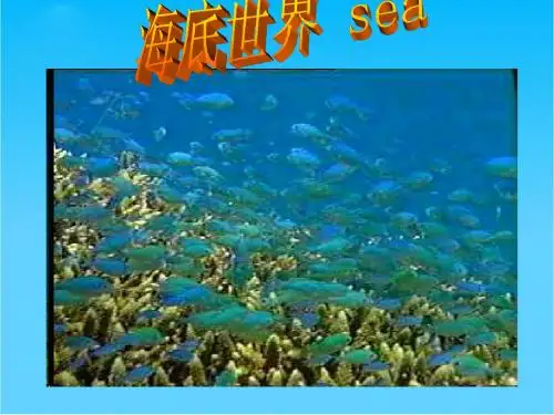 高中地理必修上册海洋环境保护和海洋权益