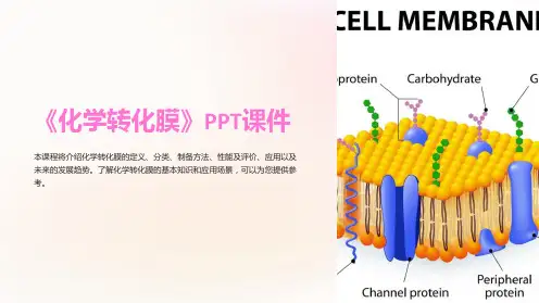 《化学转化膜》课件
