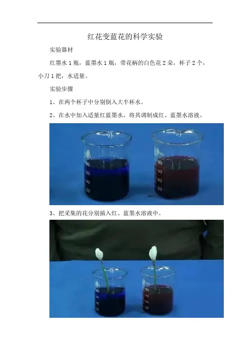 红花变蓝花的科学实验