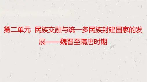第5讲+三国两晋南北朝的政权更迭、民族交融与社会经济 高三统编版必修中外历史纲要上一轮复习