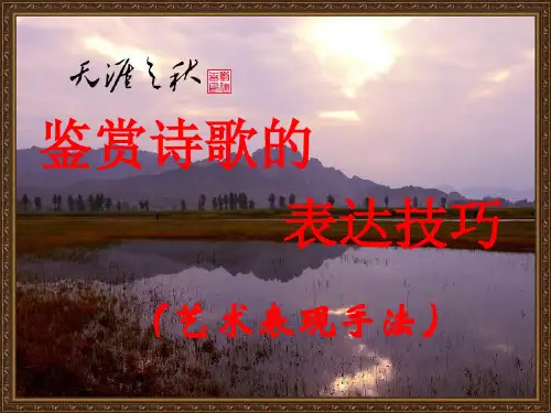 鉴赏诗歌的表达技巧艺术表现手法 课件