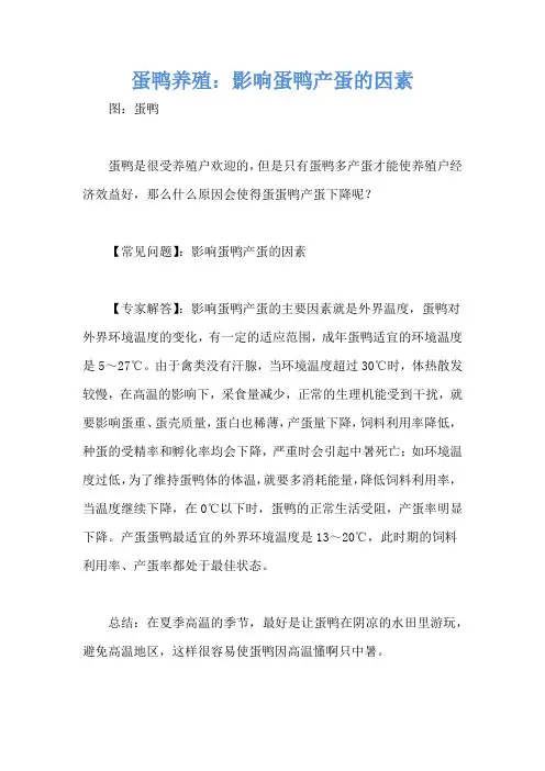 蛋鸭养殖：影响蛋鸭产蛋的因素
