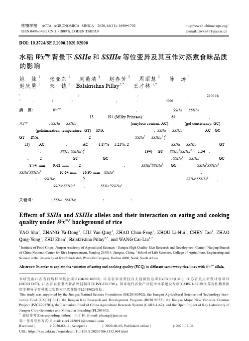 水稻Wxmp背景下SSIIa和SSIIIa等位变异及其互作对蒸煮食味品质的影响