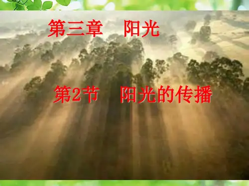 七年级科学下册 第3章 阳光 3.2 阳光的传播课件 华东师大级下册自然科学课件