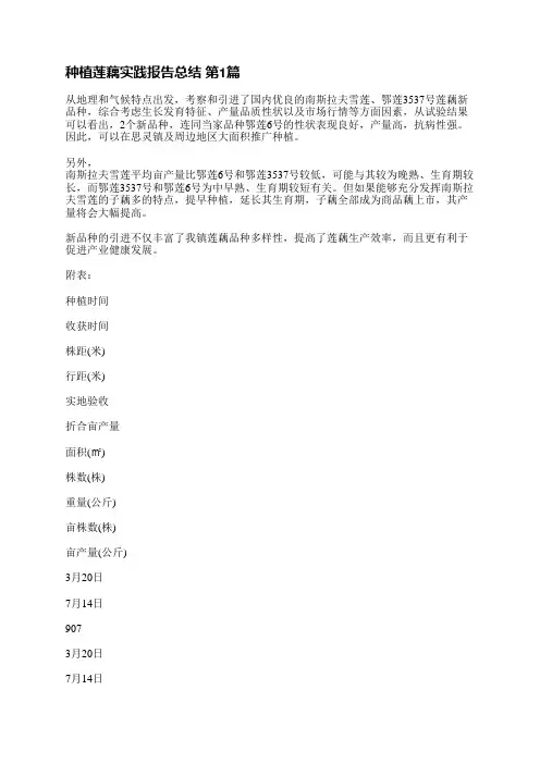 种植莲藕实践报告总结(4篇)